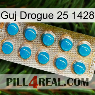 Guj Drug 25 1428 new09